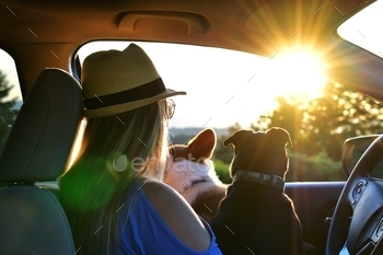 Woman with dogs watching a sunset from her car on a road trip during golden hour.